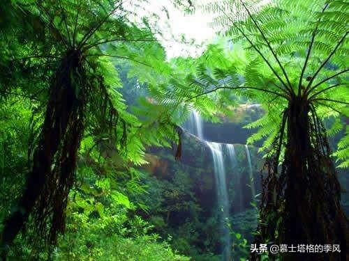 贵州天鹅堡，重庆避暑的后花园，一个21℃的清凉世界
