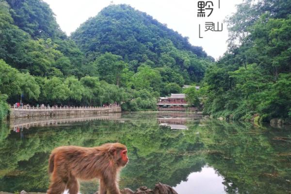 除了黄果树瀑布之外，贵州还有4处免费的避暑胜地，2021不容错过