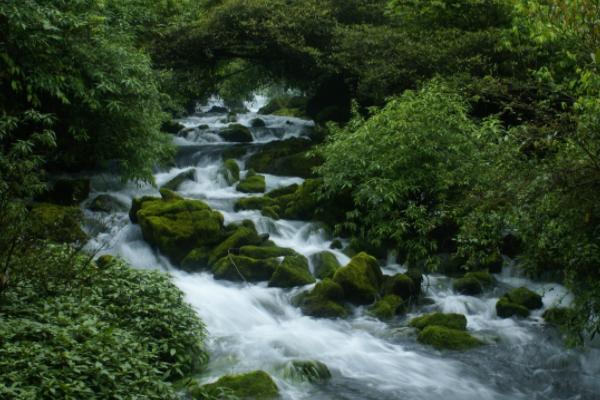 除了黄果树瀑布之外，贵州还有4处免费的避暑胜地，2021不容错过