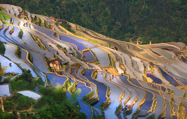 从江有多美？这里有贵州最美的梯田画卷，有别具特色的侗家风情