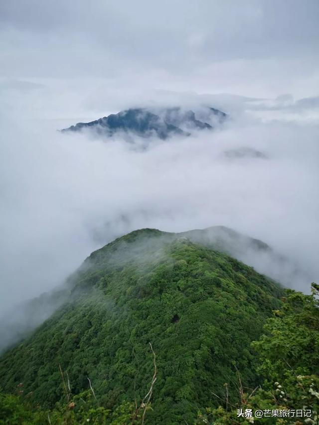 梵净山被称为“贵州第一山”，要怎么玩？看看广东妹子的攻略游记