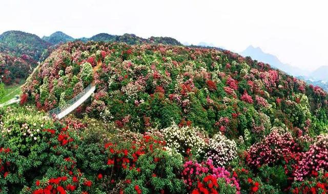 “多彩贵州”，这些美景不可错过——贵州最有价值的十大景区