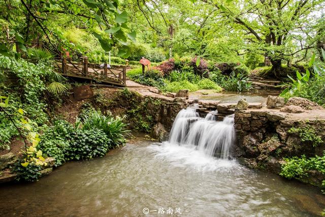 贵州六盘水有个“世界古银杏之乡”，树龄长达1500年，景色如画
