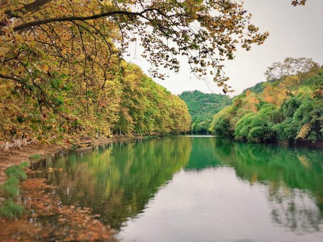 秋游贵州攻略丨八大主题线路 感受秋天梦幻般的贵州
